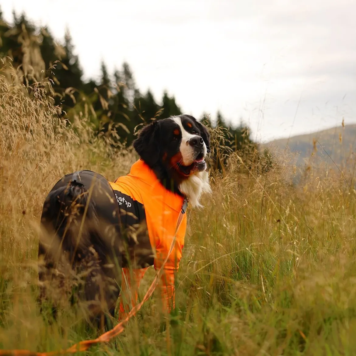 Non-stop Dogwear Protector Hundoverall Hane Svart & Orange