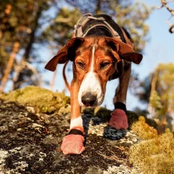 Non-Stop Dogwear Protector Light Hundsocka 4 st