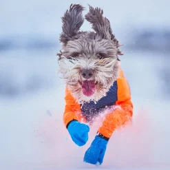 Non-Stop Dogwear Protector Snow Hundoverall Tik Svart & Orange