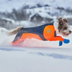 Non-stop Dogwear Protector Snow Hundoverall Hane Svart & Orange