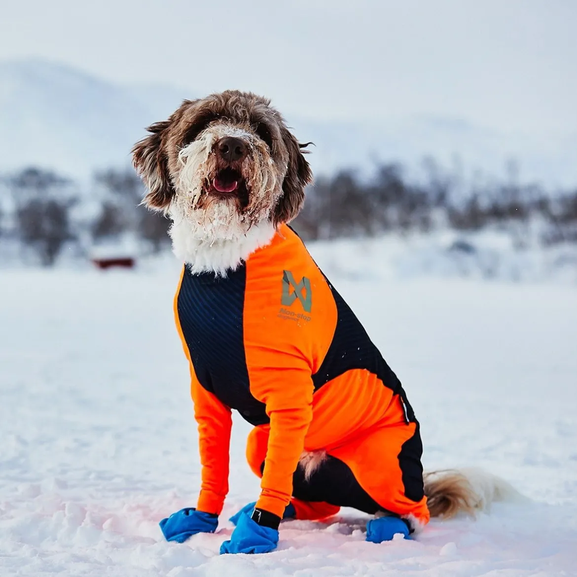 Non-stop Dogwear Protector Snow Hundoverall Hane Svart & Orange
