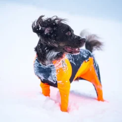 Non-stop Dogwear Protector Snow Hundoverall Hane Svart & Orange