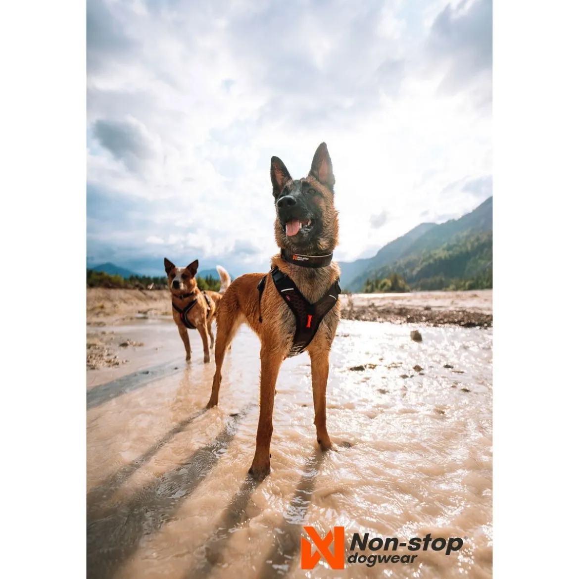 Non-stop Dogwear Rock Hundhalsband Justerbart Svart/Orange