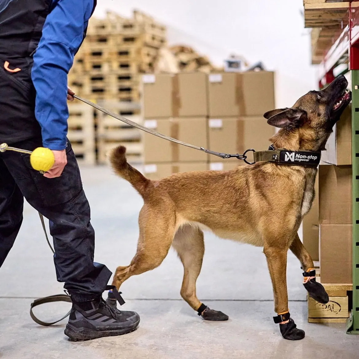 Non-Stop Dogwear Solid WD Hundhalsband Halvstryp Grön