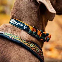 Non-stop Dogwear Trail Quest Hundhalsband Rachel Pohl Brunt