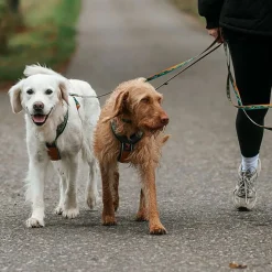 Non-stop Dogwear Trail Quest Rachel Pohl Hundkoppel Brunt 15mm/2m
