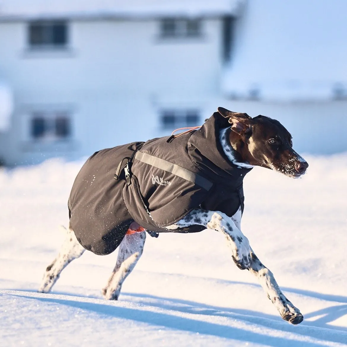 Non-Stop Dogwear Trekking Hundtäcke Svart