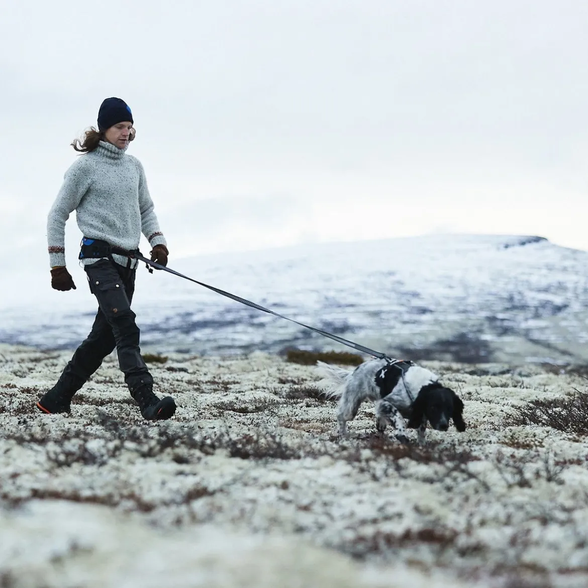 Non-stop Touring Bungee Leash