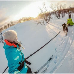 Non-stop Touring Bungee Leash