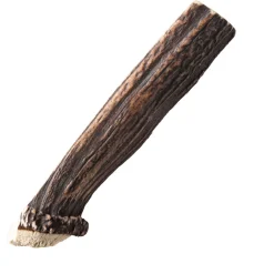 Nutriment Delat Hjorthorn Hundtugg
