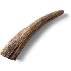Nutriment Hjorthorn Hundtugg