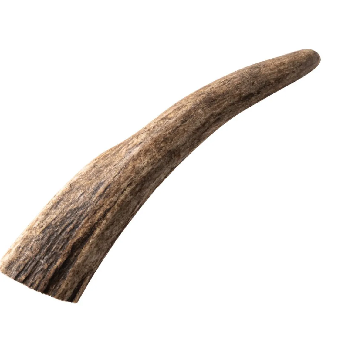 Nutriment Hjorthorn Hundtugg