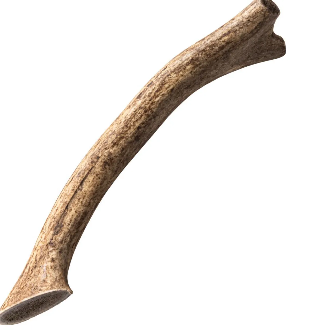 Nutriment Hjorthorn Hundtugg