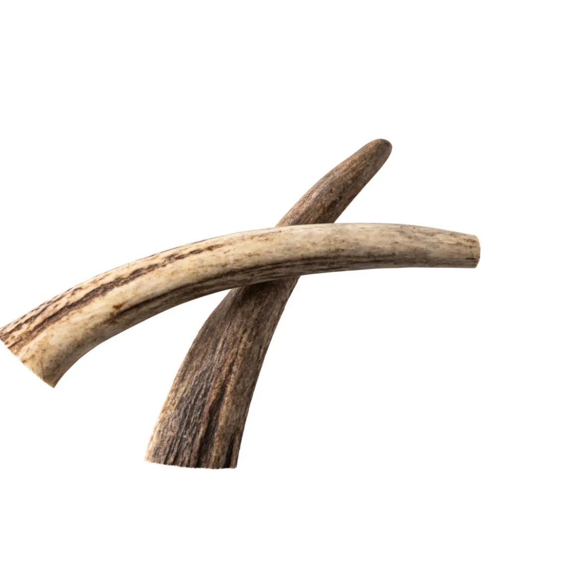 Nutriment Hjorthorn Hundtugg