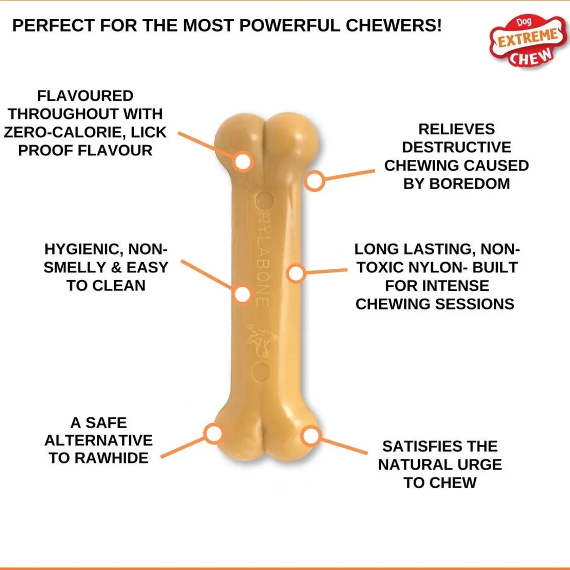Nylabone Dura Chew Bacon M