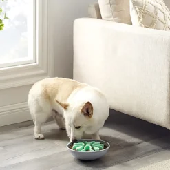 Outward Hound Slow Feeder Hundmatskål Wobble 23 cm