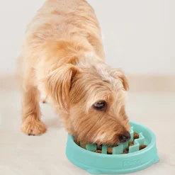 Outward Hound Slow Feeder Hundmatskål Wave Ljusblå 15 cm