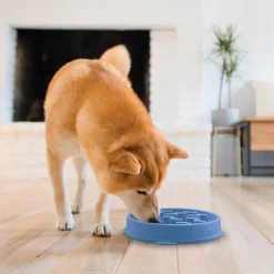 Outward Hound Slow Feeder Notch Hundmatskål Blå 20,5 cm