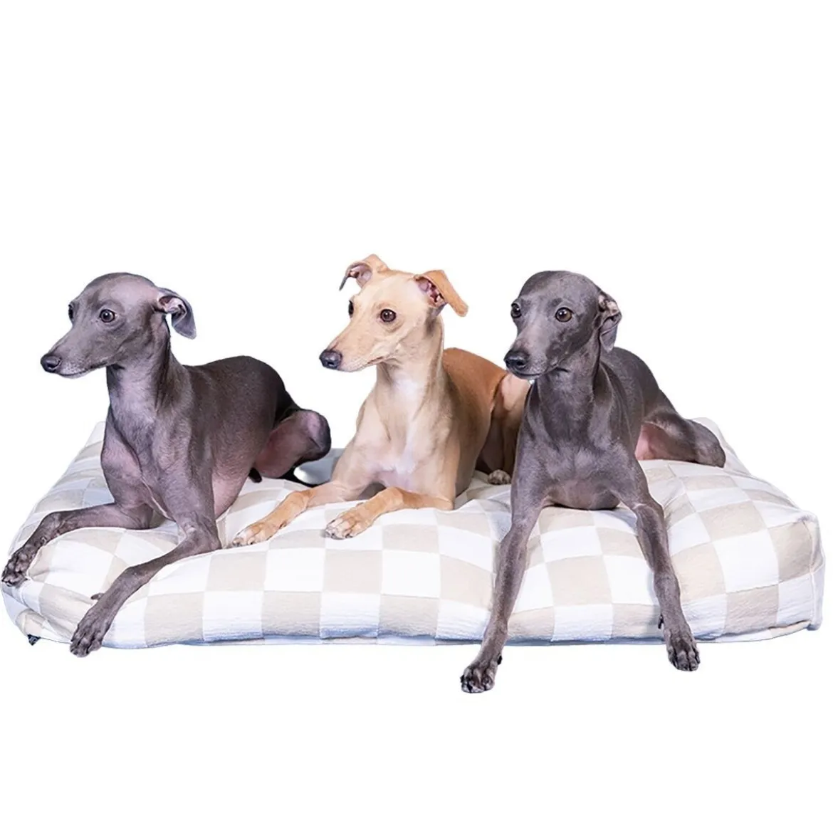 PAIKKA Check Hundmadrass Rutig Beige