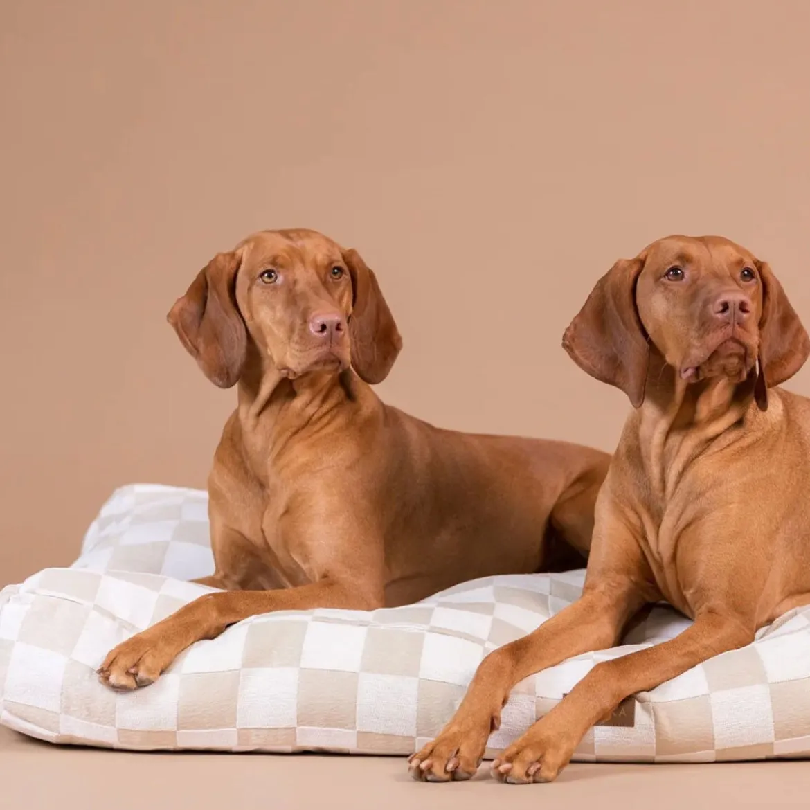 PAIKKA Check Hundmadrass Rutig Beige
