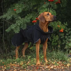 PAIKKA Recovery Softshell Hundjacka Svart