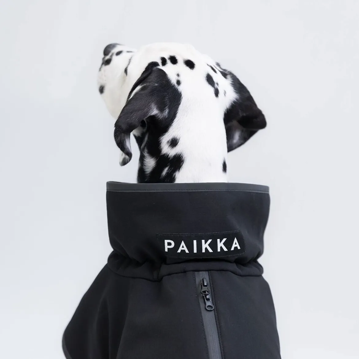 PAIKKA Recovery Softshell Hundjacka Svart