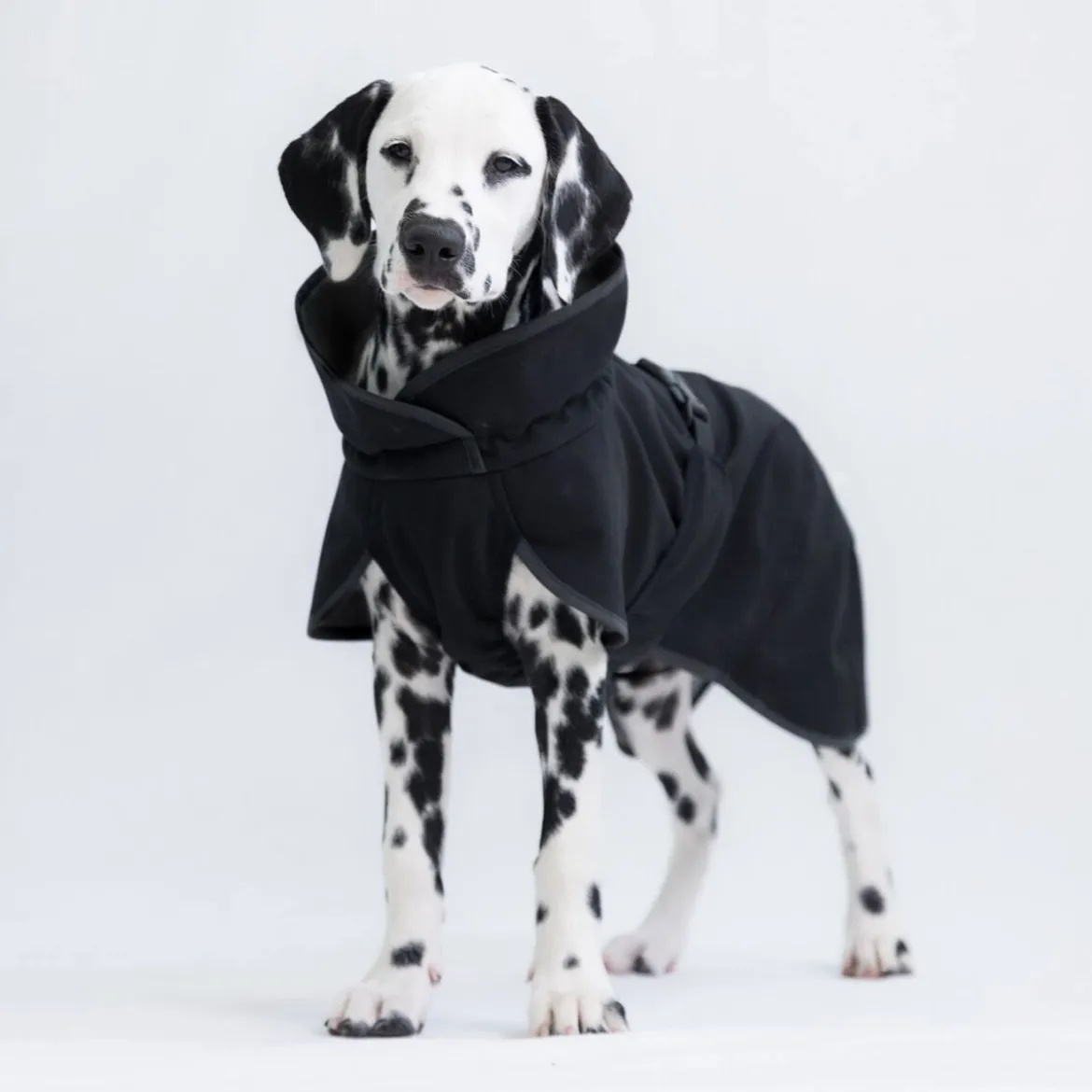 PAIKKA Recovery Softshell Hundjacka Svart