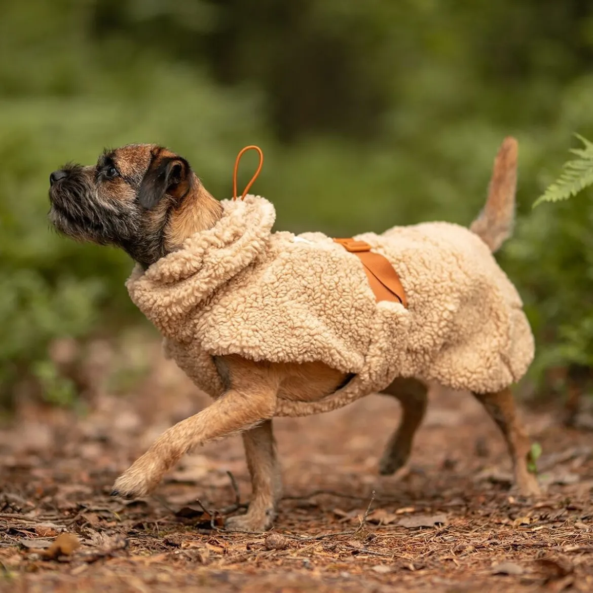 PAIKKA Sherpa Hundtröja Beige