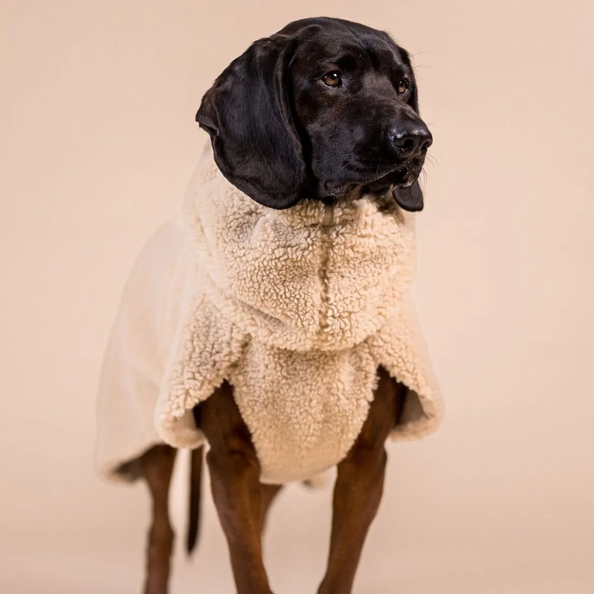 PAIKKA Sherpa Hundtröja Beige