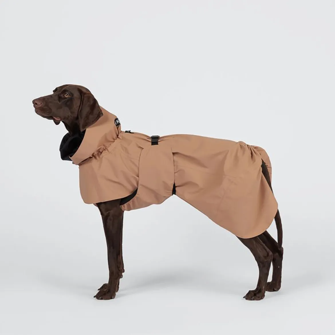 PAIKKA Visibility Regnjacka till Hund Brun