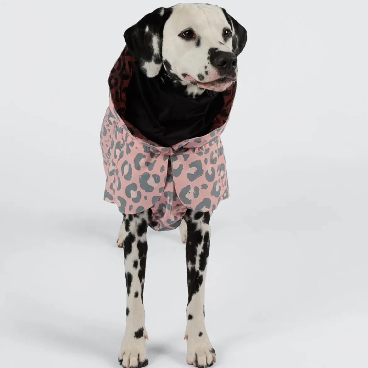 PAIKKA Visibility Regnjacka till Hund Rosa Leopard