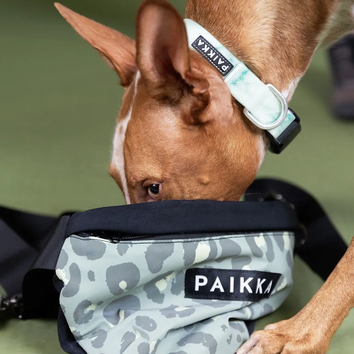 PAIKKA Visibility Treat Bag Midjeväska Leopard Grön