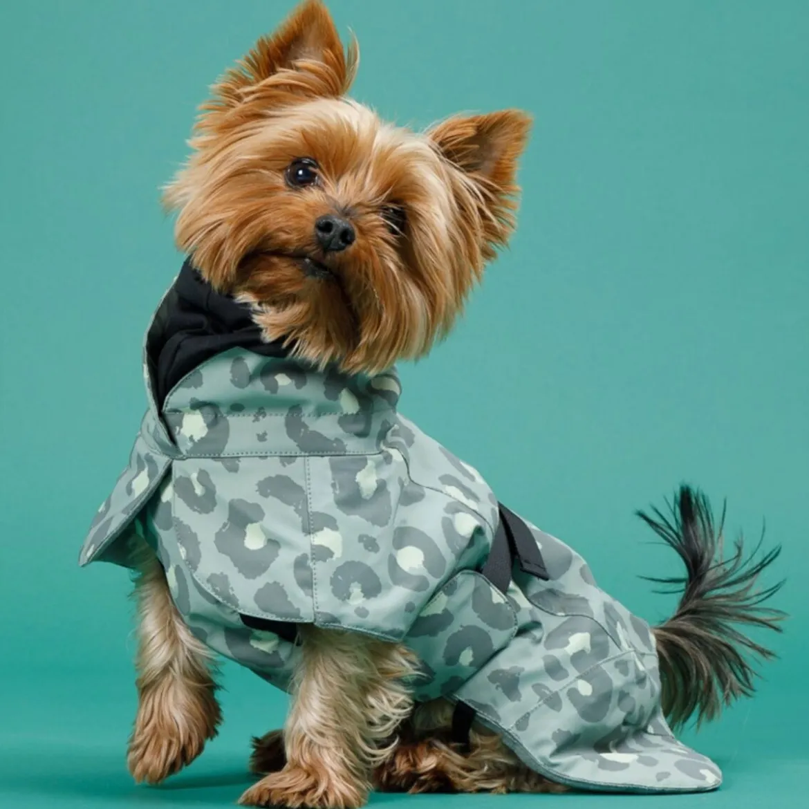 PAIKKA Visibility Vinterjacka till Hund Reflekterande Leopard Grön