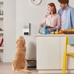 PetCube Bites 2 Lite Husdjurskamera med Godisutlösare