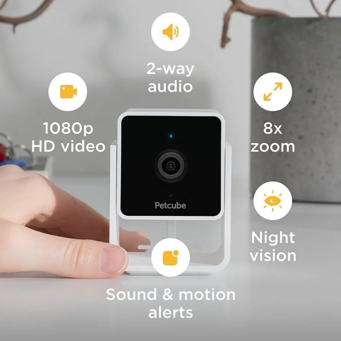 PetCube Cam Husdjurskamera med Ljud