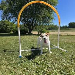 PetEasy Hoopers