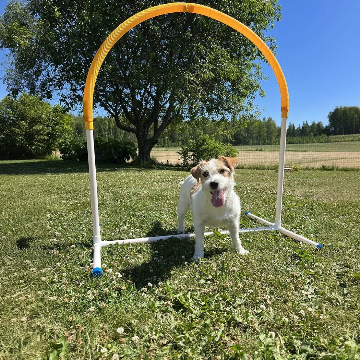 PetEasy Hoopers