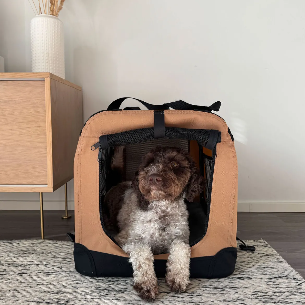 PetEasy Transportbur Brun
