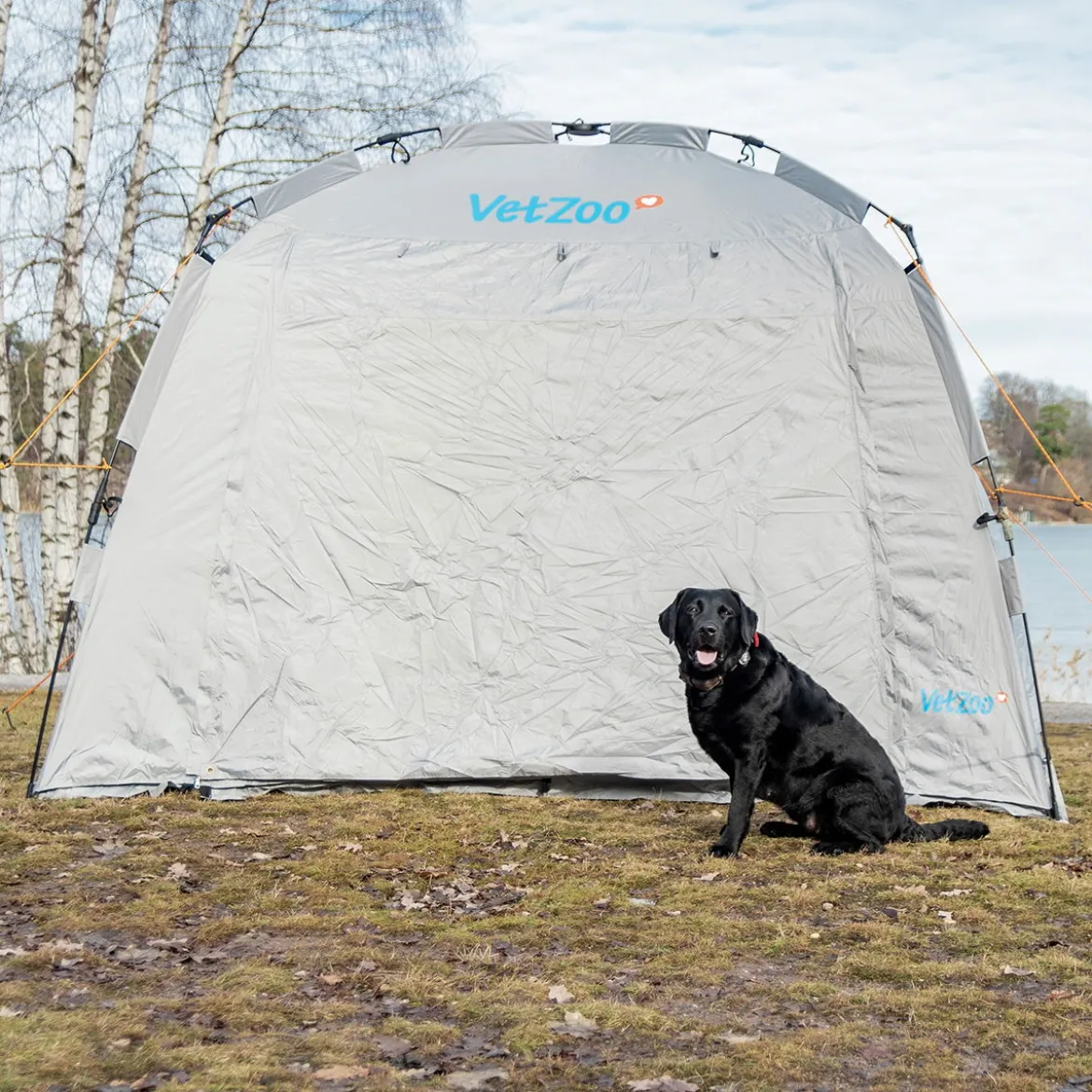 PetEasy VetZoo Utställningstält till hund