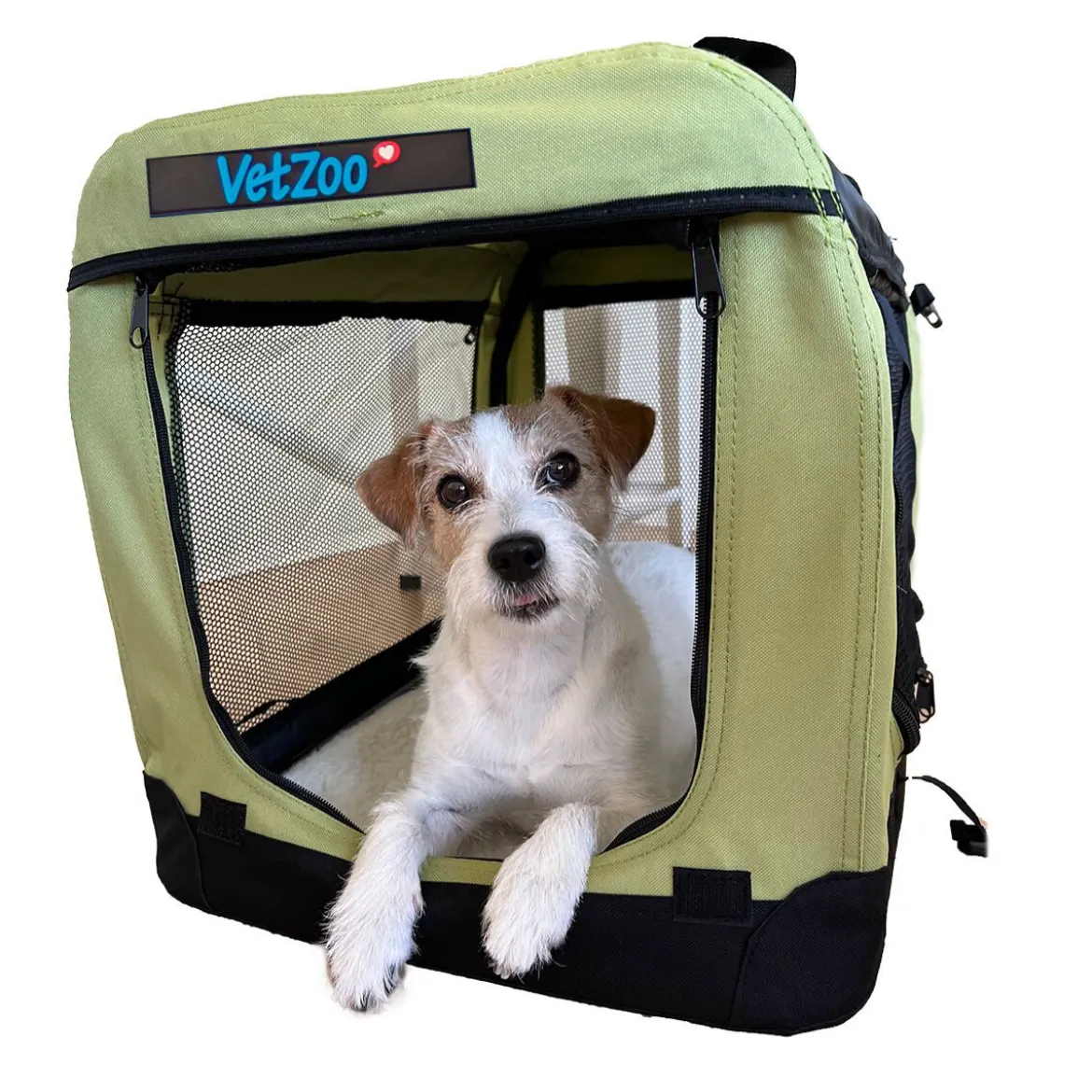 PetEasy x VetZoo Transportbur Olivgrön
