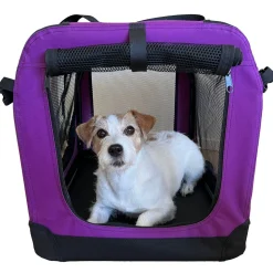 PetEasy x VetZoo Transportbur Lila