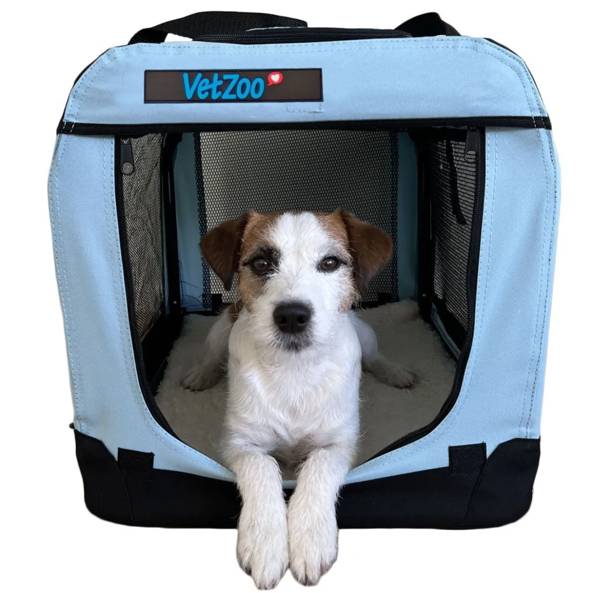 PetEasy x VetZoo Transportbur Ljusblå