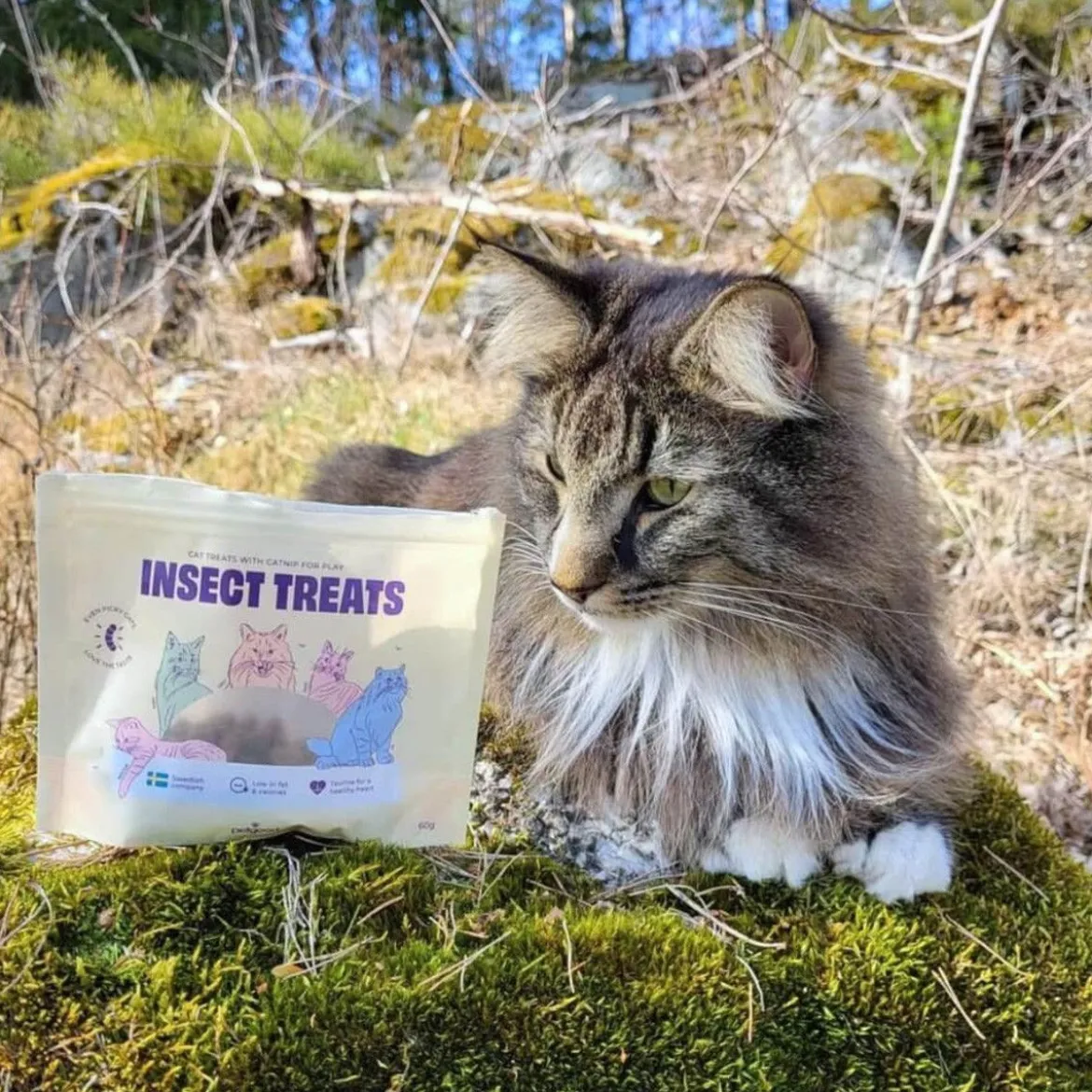 Petgood Kattgodis med Insektsprotein 60 g
