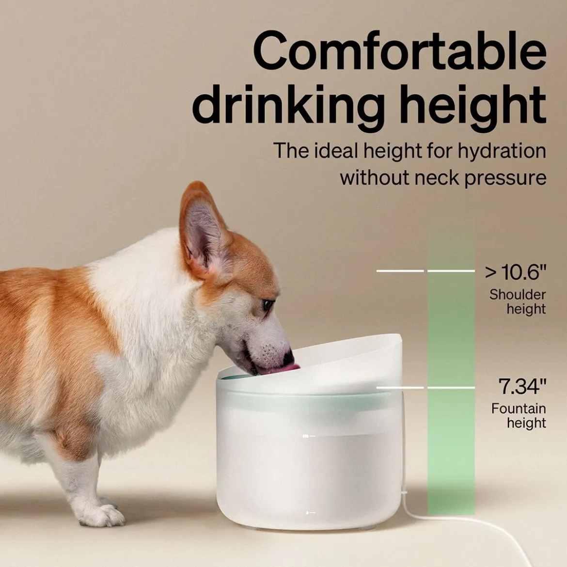 Petlibro Capsule Vattenfontän till Hund Vit