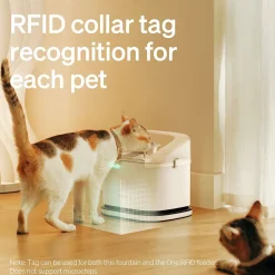 Petlibro Dockstream RFID Multi Cats Vattenfontän Vit