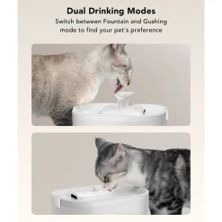 Petlibro Dockstream Vattenfontän till Katt Vit