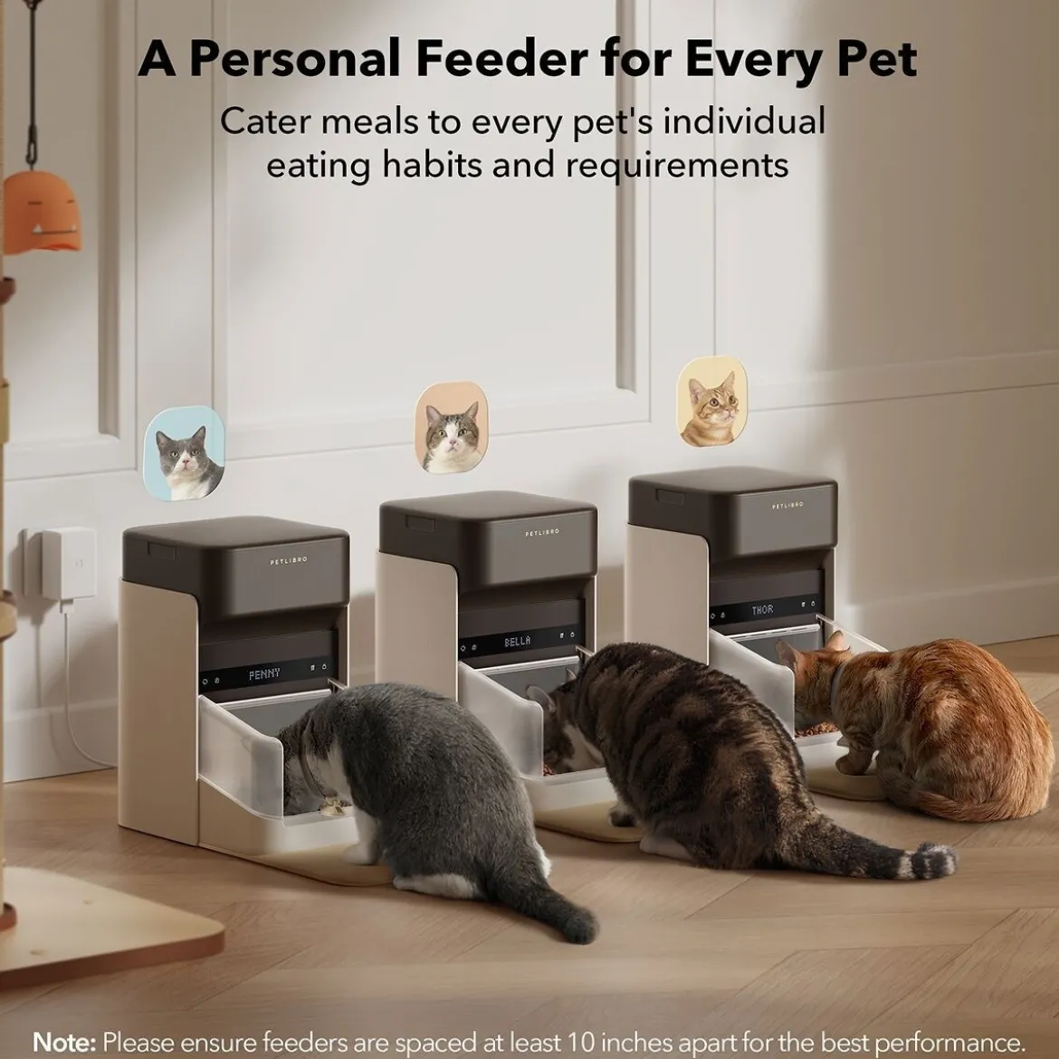 PetLibro One RFID Foderautomat
