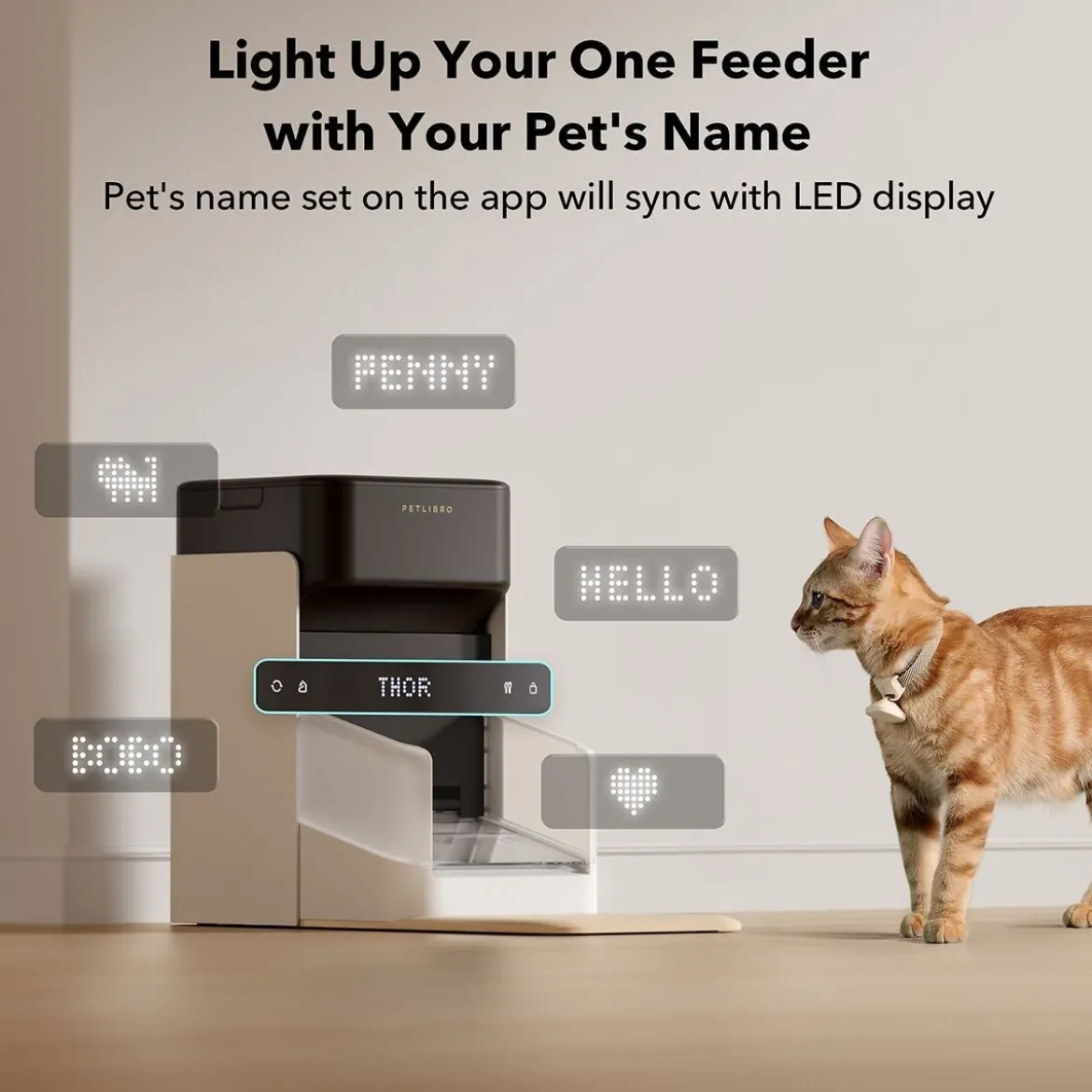 PetLibro One RFID Foderautomat