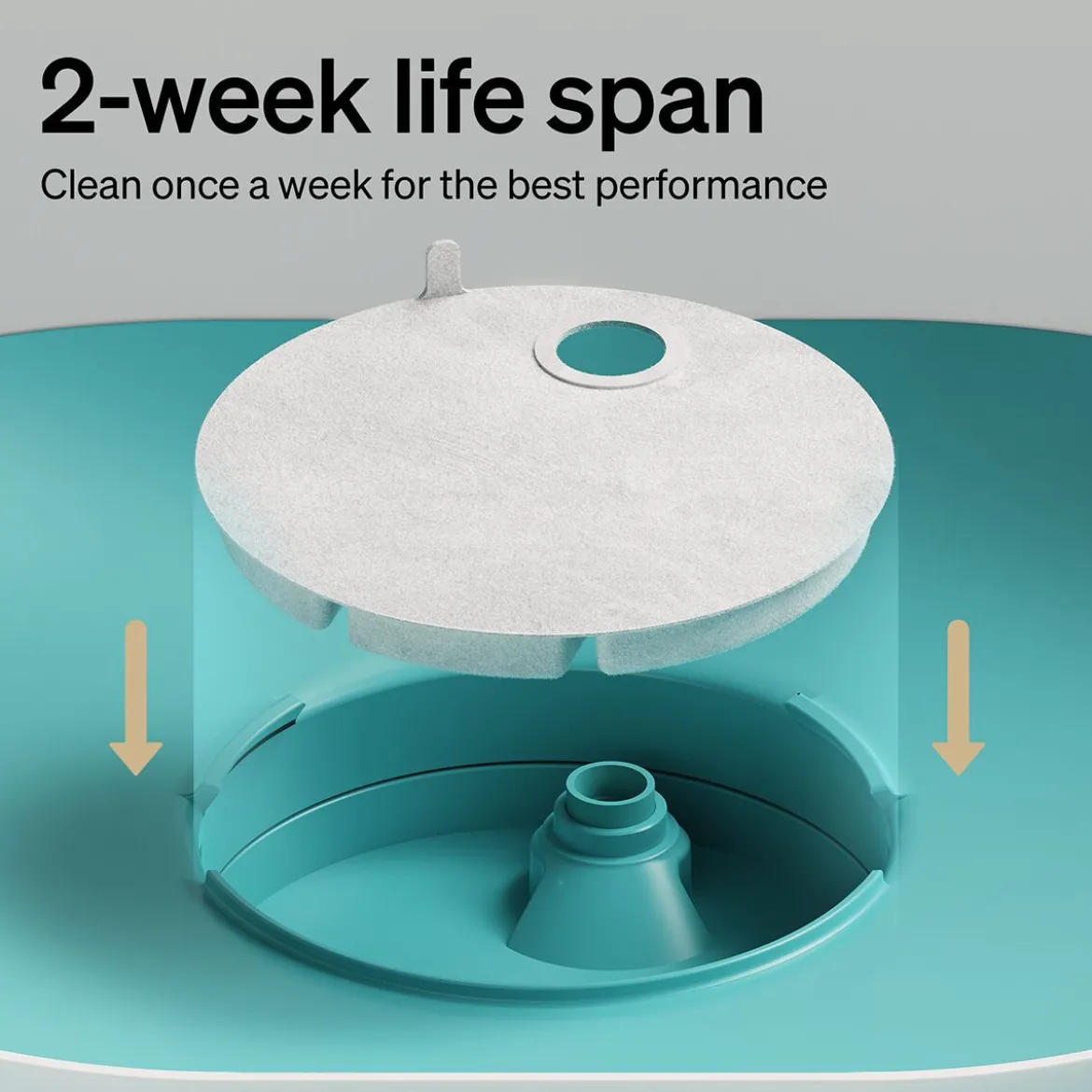 Petlibro Vattenfilter till Capsule Vattenfontän till Hund 4-pack