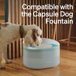 Petlibro Vattenfilter till Capsule Vattenfontän till Hund 4-pack